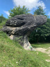 Halber Stein Pension Cisnadioara