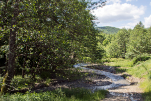 Valea Argintului Pension Michelsberg skaliert