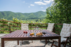 Pensiunea Cisnadioara Terrasse 6