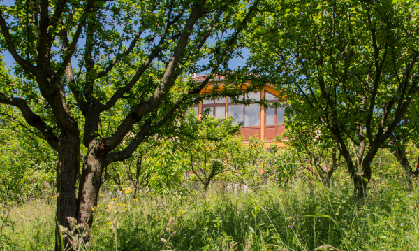 Haus im Obstgarten Cisnadioara Pension